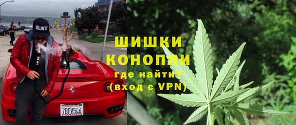 прущие крисы Болотное