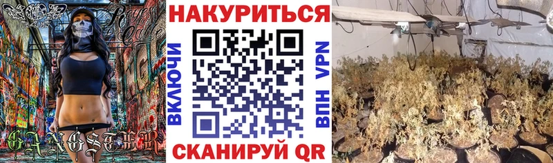 Купить Каменногорск Шишки марихуана THC 21%